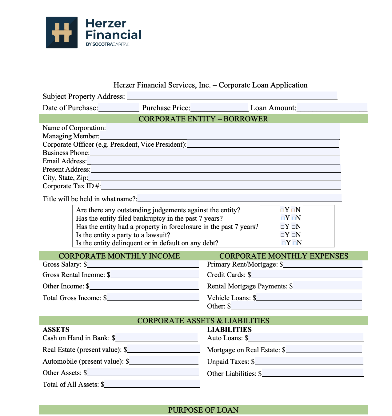 Entity Loan Application